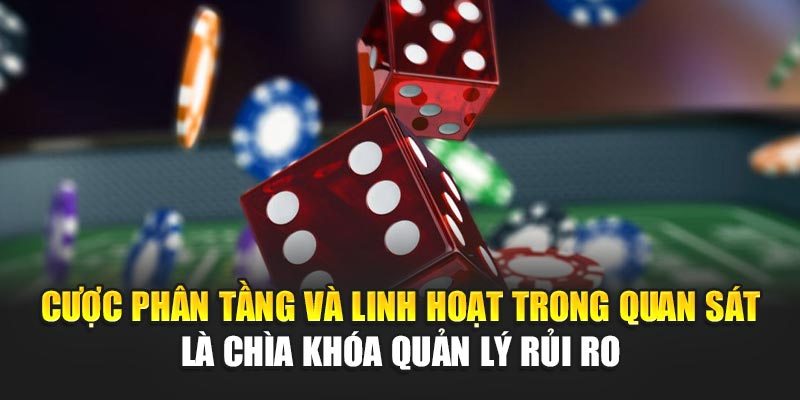 Cược phân tầng và linh hoạt trong quan sát là chìa khóa quản lý rủi ro