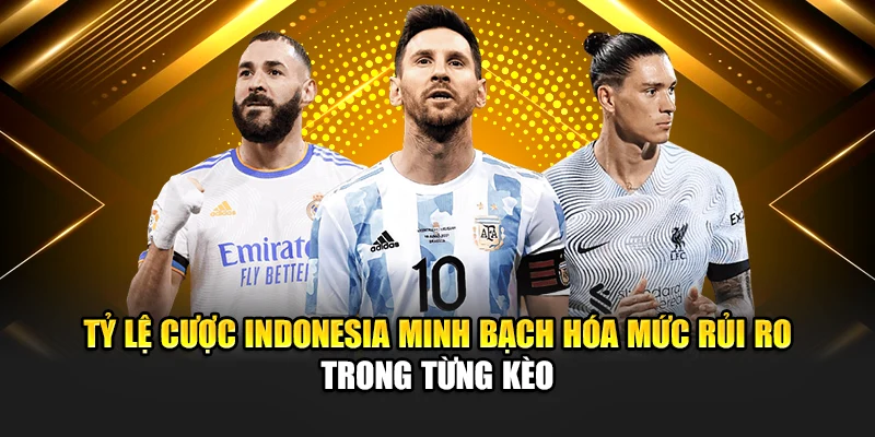 Tỷ lệ cược Indonesia minh bạch hóa mức rủi ro trong từng kèo